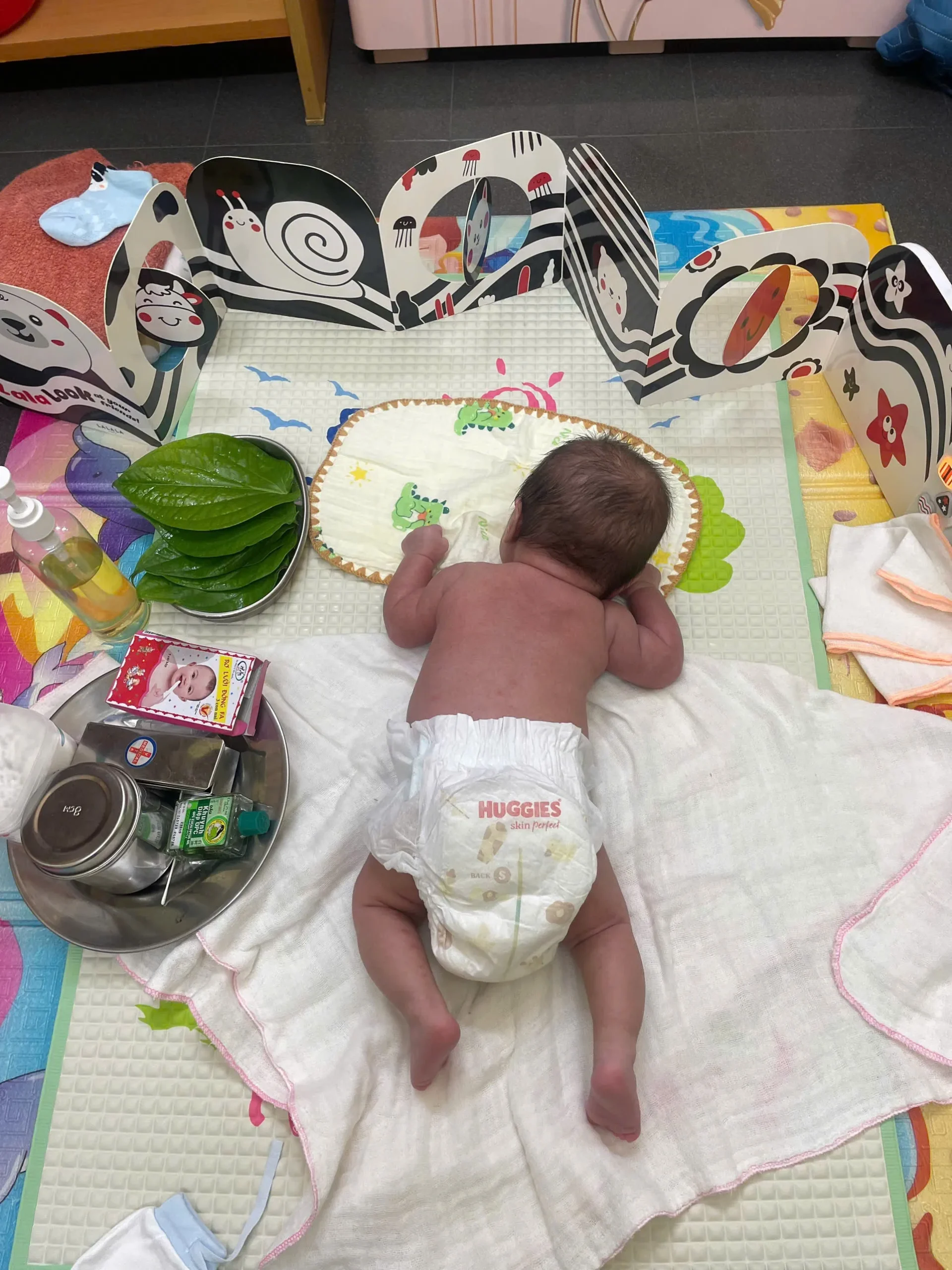 z7168942150215_aea66595e9e74e57e9877ead701f2be6_result